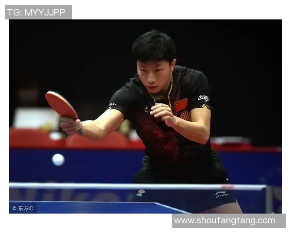 上海乒乓球队的团队协作与战术配合深度剖析与探讨