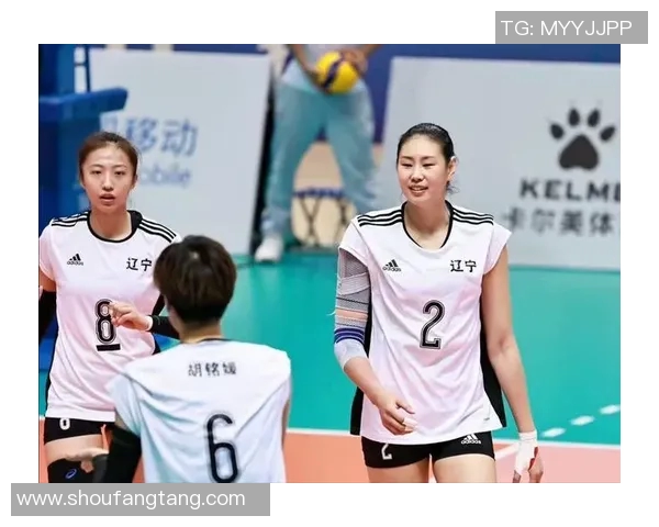 南京排球队配合问题引发热议球迷对战术与默契的看法各异