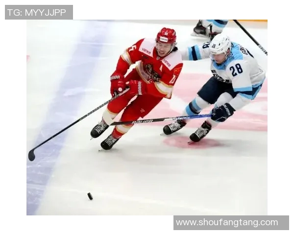 成都足球队阵地战体系解析及其战术应用研究