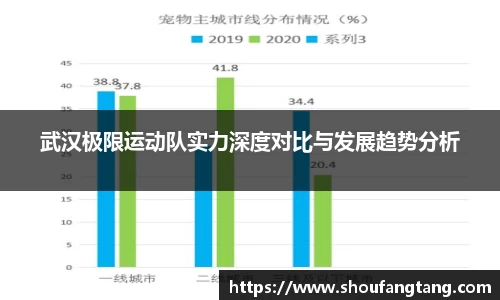 武汉极限运动队实力深度对比与发展趋势分析
