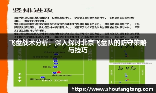 飞盘战术分析：深入探讨北京飞盘队的防守策略与技巧