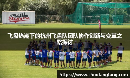 飞盘热潮下的杭州飞盘队团队协作创新与变革之路探讨