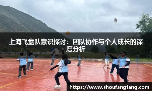 上海飞盘队意识探讨：团队协作与个人成长的深度分析