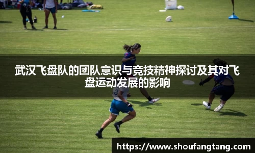 武汉飞盘队的团队意识与竞技精神探讨及其对飞盘运动发展的影响